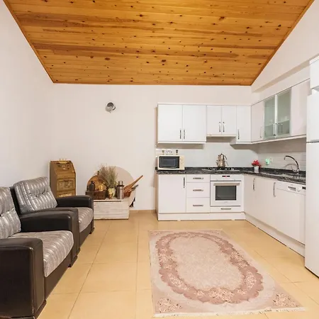 Rose Garden With Private Pool And Jacuzzi Fethiye