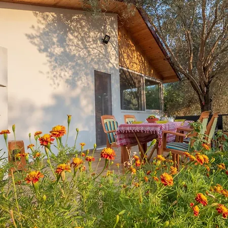 Rose Garden With Private Pool And Jacuzzi