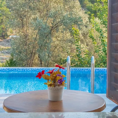 Villa Rose Garden With Private Pool And Jacuzzi Fethiye